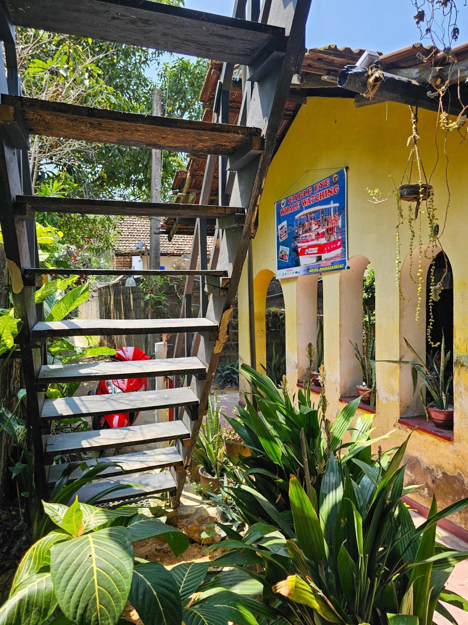 Hotel Bird House Mirissa Esterno foto